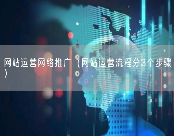 网站运营网络推广（网站运营流程分3个步骤）(图1)