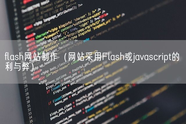 flash网站制作（网站采用Flash或javascript的利与弊）(图1)