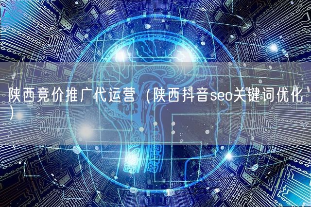 陕西竞价推广代运营（陕西抖音seo关键词优化）(图1)