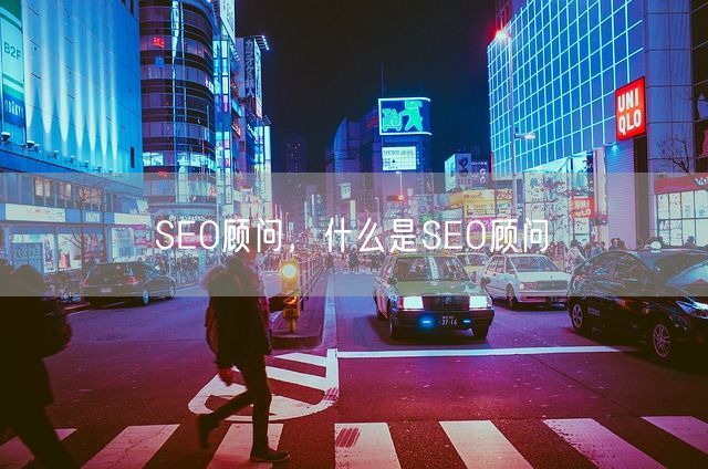 SEO顾问，什么是SEO顾问(图1)