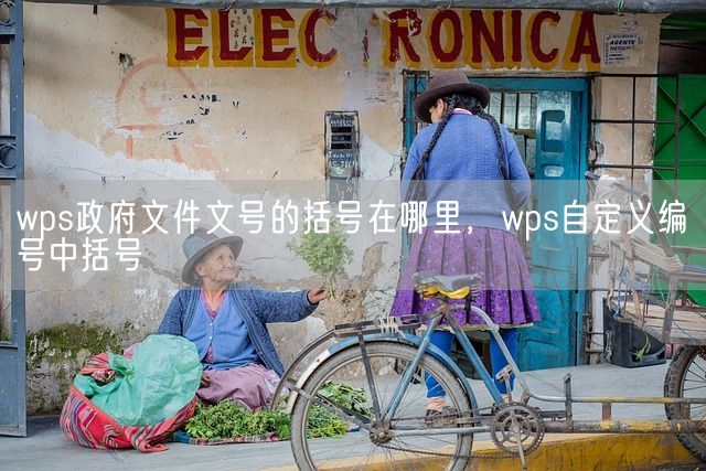 wps政府文件文号的括号在哪里，wps自定义编号中括号(图1)