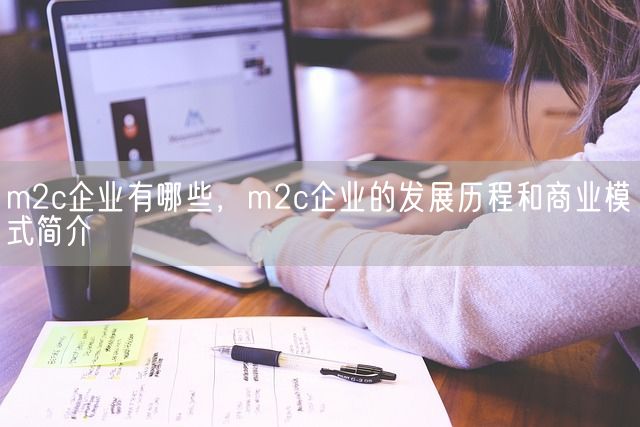 m2c企业有哪些，m2c企业的发展历程和商业模式简介(图1)