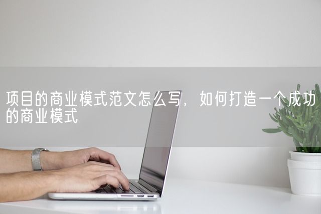 项目的商业模式范文怎么写，如何打造一个成功的商业模式(图1)