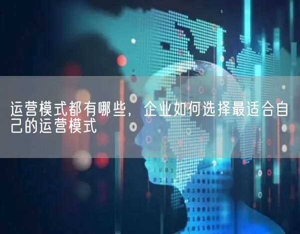 运营模式都有哪些，企业如何选择最适合自己的运营模式(图1)