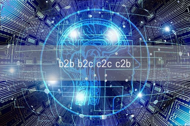 b2b b2c c2c c2b(图1)