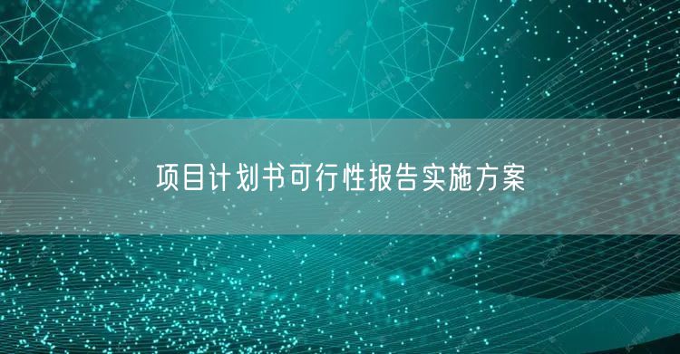 项目计划书可行性报告实施方案(图1)