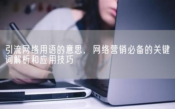 引流网络用语的意思，网络营销必备的关键词解析和应用技巧(图1)