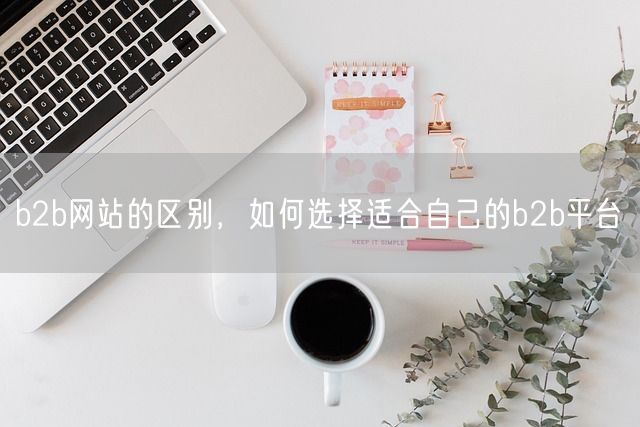 b2b网站的区别，如何选择适合自己的b2b平台(图1)