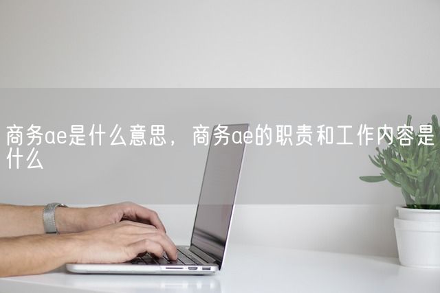 商务ae是什么意思，商务ae的职责和工作内容是什么(图1)