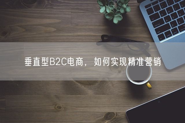 垂直型B2C电商，如何实现精准营销(图1)