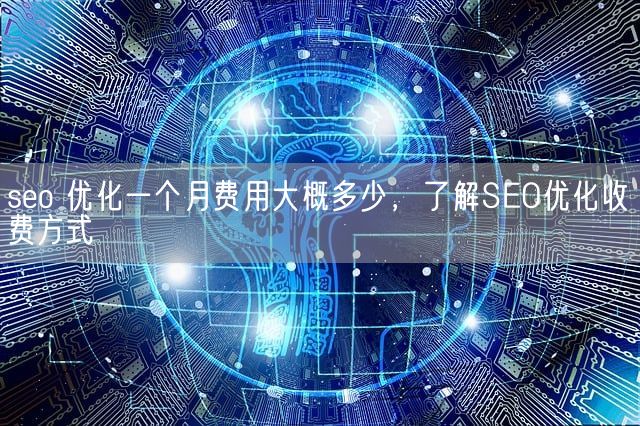 seo 优化一个月费用大概多少，了解SEO优化收费方式(图1)