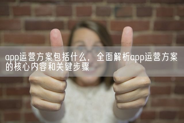 app运营方案包括什么，全面解析app运营方案的核心内容和关键步骤(图1)