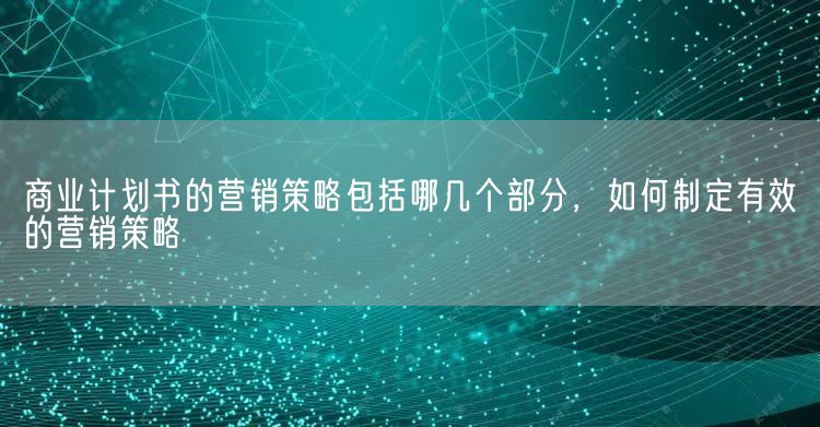 商业计划书的营销策略包括哪几个部分，如何制定有效的营销策略(图1)