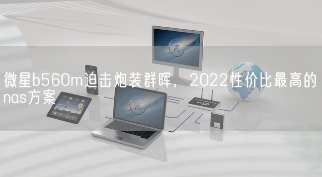 微星b560m迫击炮装群晖，2022性价比最高的nas方案(图1)