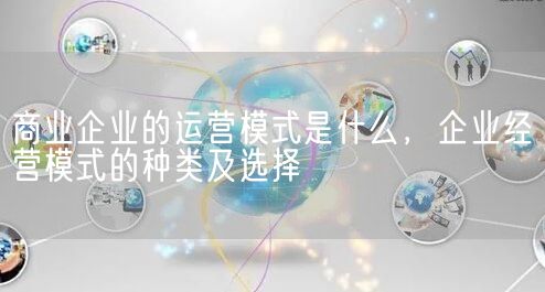 商业企业的运营模式是什么，企业经营模式的种类及选择(图1)