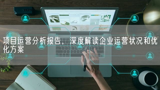 项目运营分析报告，深度解读企业运营状况和优化方案(图1)