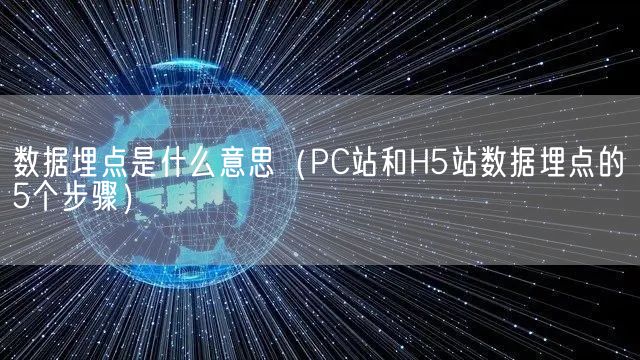 数据埋点是什么意思（PC站和H5站数据埋点的5个步骤）(图1)