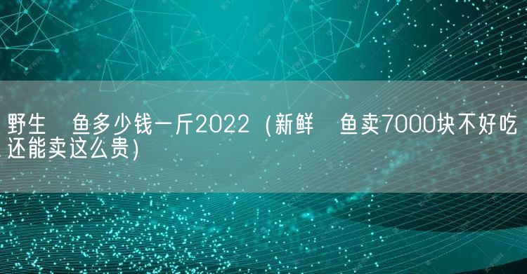 野生鳡鱼多少钱一斤2022（新鲜鳡鱼卖7000块不好吃还能卖这么贵）(图1)