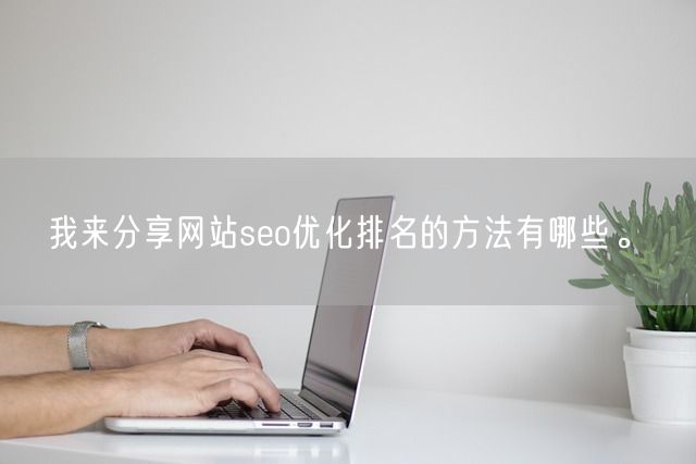 我来分享网站seo优化排名的方法有哪些。(图1)