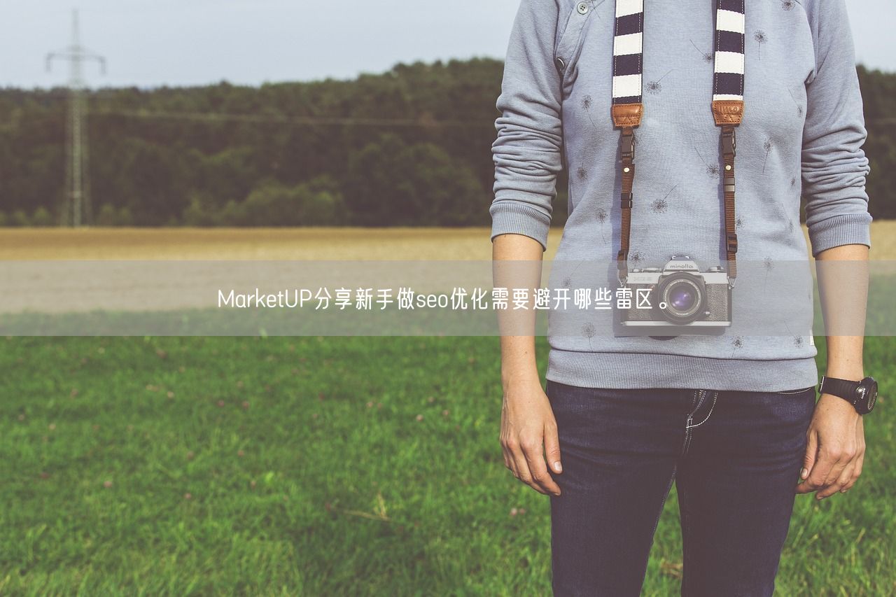 MarketUP分享新手做seo优化需要避开哪些雷区。(图1)