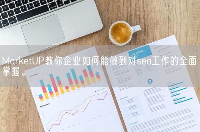 MarketUP教你企业如何能做到对seo工作的全面掌握。(图1)