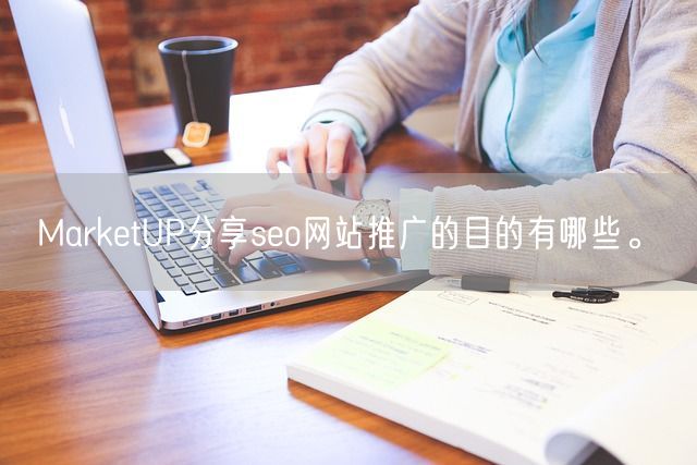 MarketUP分享seo网站推广的目的有哪些。(图1)