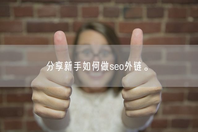 分享新手如何做seo外链。(图1)