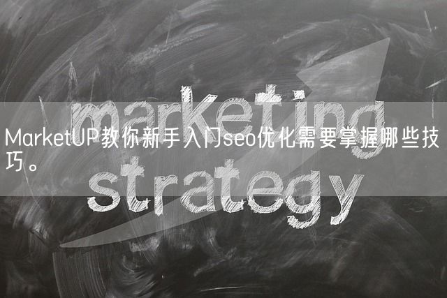 MarketUP教你新手入门seo优化需要掌握哪些技巧。(图1)