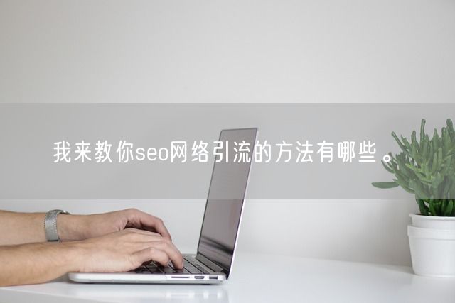 我来教你seo网络引流的方法有哪些。(图1)