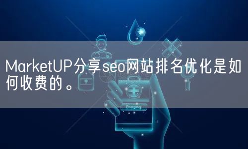 MarketUP分享seo网站排名优化是如何收费的。(图1)