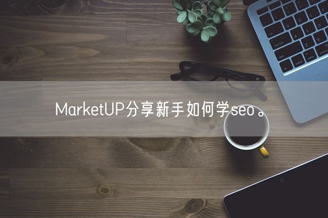 MarketUP分享新手如何学seo。(图1)