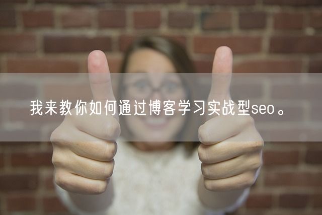 我来教你如何通过博客学习实战型seo。(图1)