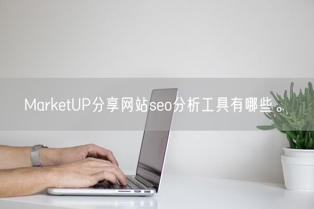 MarketUP分享网站seo分析工具有哪些。(图1)