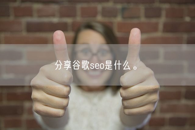 分享谷歌seo是什么。(图1)