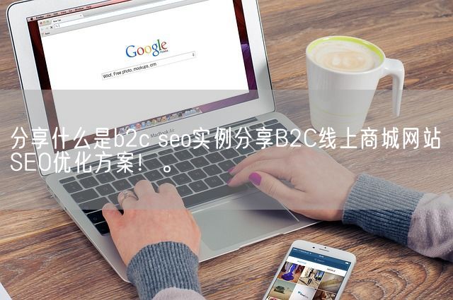 分享什么是b2c seo实例分享B2C线上商城网站SEO优化方案！。(图1)