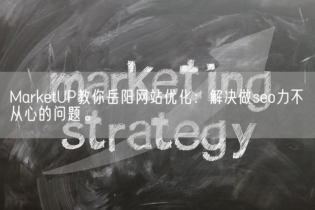 MarketUP教你岳阳网站优化：解决做seo力不从心的问题。(图1)