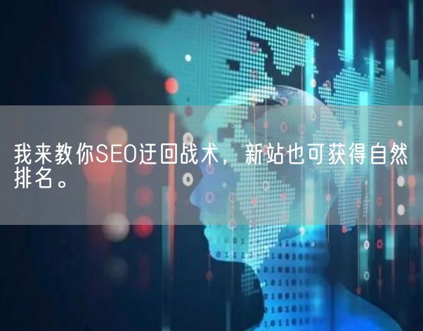 我来教你SEO迂回战术，新站也可获得自然排名。(图1)