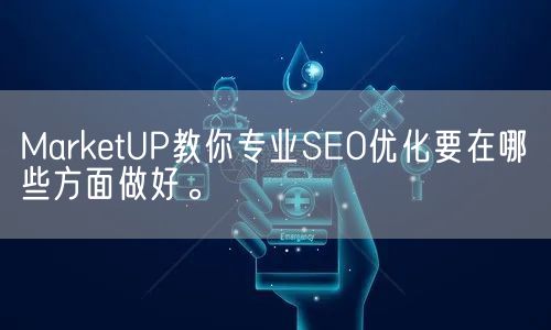 MarketUP教你专业SEO优化要在哪些方面做好。(图1)