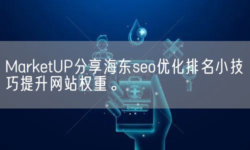 MarketUP分享海东seo优化排名小技巧提升网站权重。(图1)