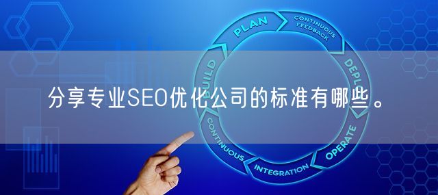 分享专业SEO优化公司的标准有哪些。(图1)