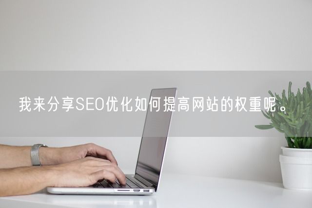 我来分享SEO优化如何提高网站的权重呢。(图1)