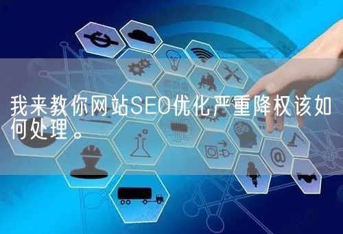 我来教你网站SEO优化严重降权该如何处理。(图1)