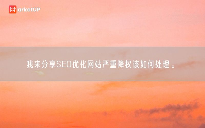 我来分享SEO优化网站严重降权该如何处理。(图1)