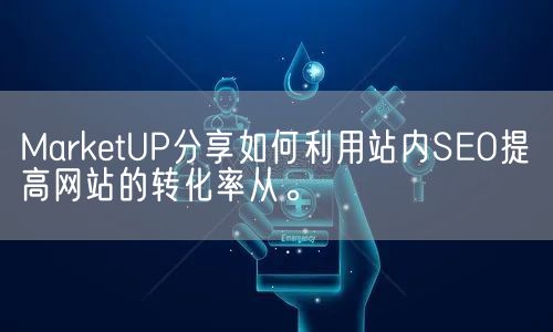 MarketUP分享如何利用站内SEO提高网站的转化率从。(图1)