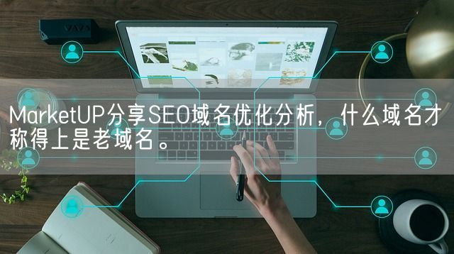 MarketUP分享SEO域名优化分析，什么域名才称得上是老域名。(图1)