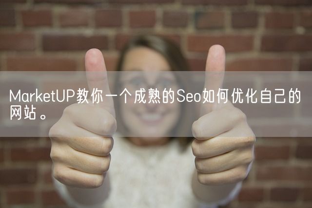 MarketUP教你一个成熟的Seo如何优化自己的网站。(图1)