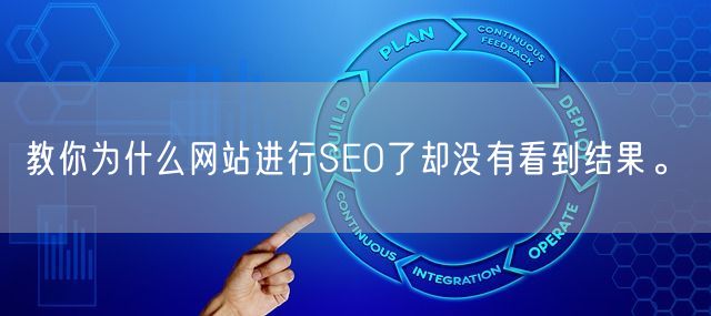 教你为什么网站进行SEO了却没有看到结果。(图1)