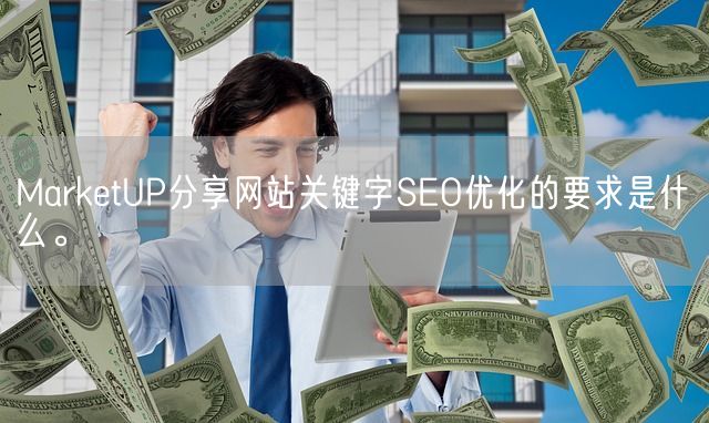 MarketUP分享网站关键字SEO优化的要求是什么。(图1)