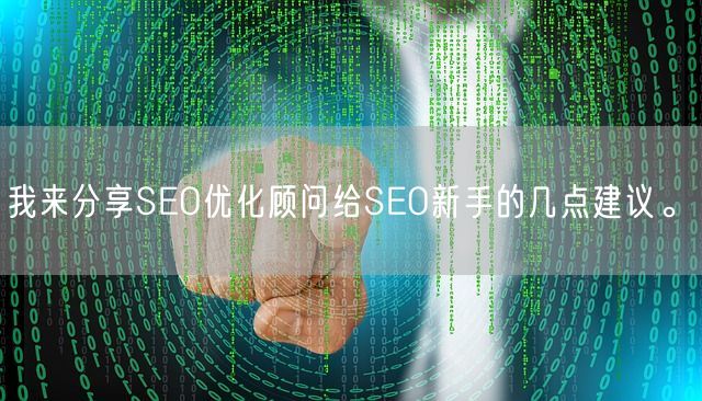 我来分享SEO优化顾问给SEO新手的几点建议。(图1)