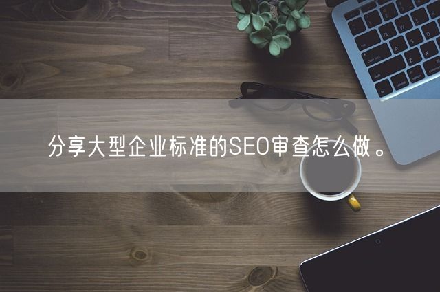 分享大型企业标准的SEO审查怎么做。(图1)